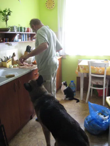 Marek gotuje a "głodomory" czekają na przysmaki